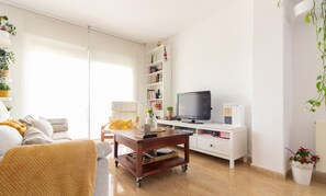 TV