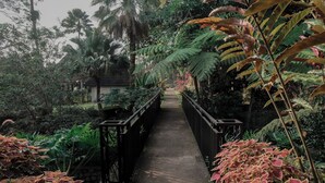 A pathway leading through a lush garden with a variety of plants and a small structure in the background. - Jambu Klutuk Resort (Parakan)