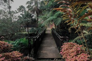 Exterior - Jambu Klutuk Resort (Parakan)