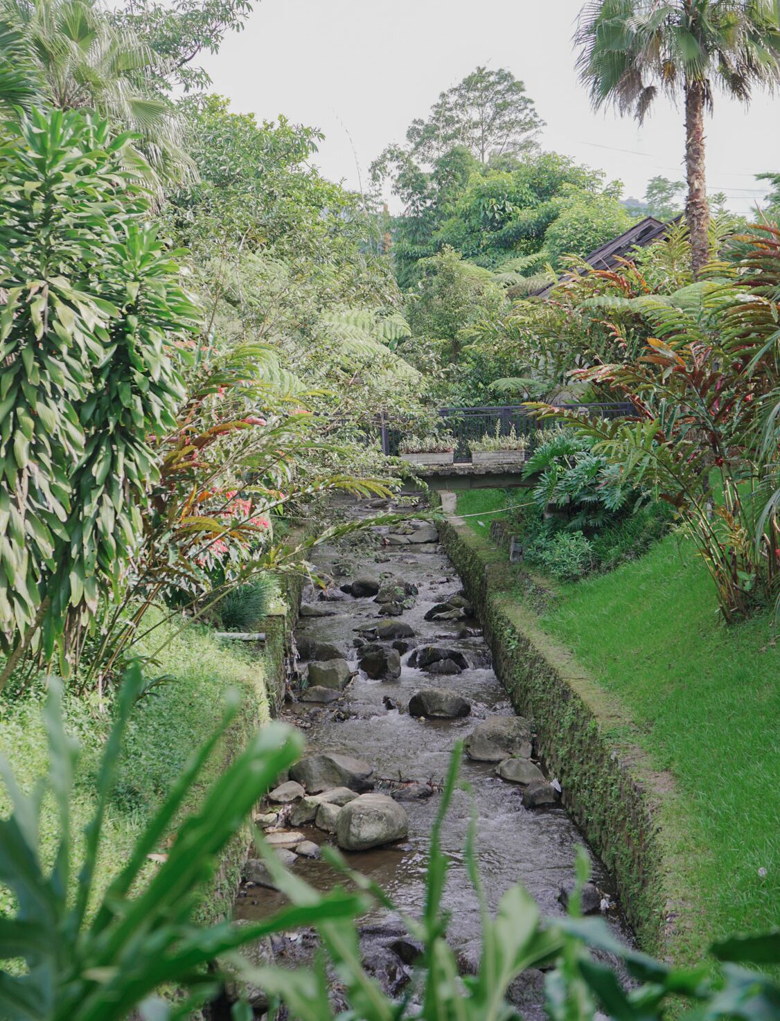 庭院景观