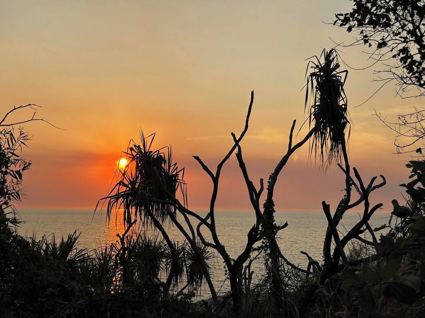 A sunset over a body of water with silhouettes of trees and vegetation.