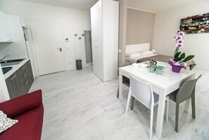 Studio Supérieur, 1 lit double et 1 canapé-lit