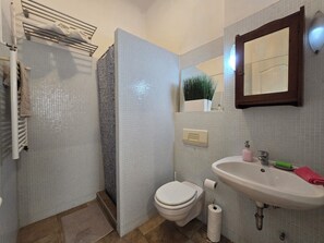 Dusche, Haartrockner, Handtücher, Seife