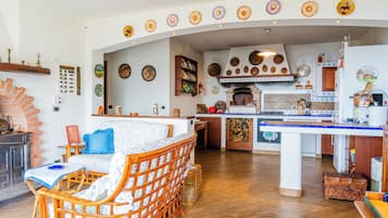 TV, fireplace, books