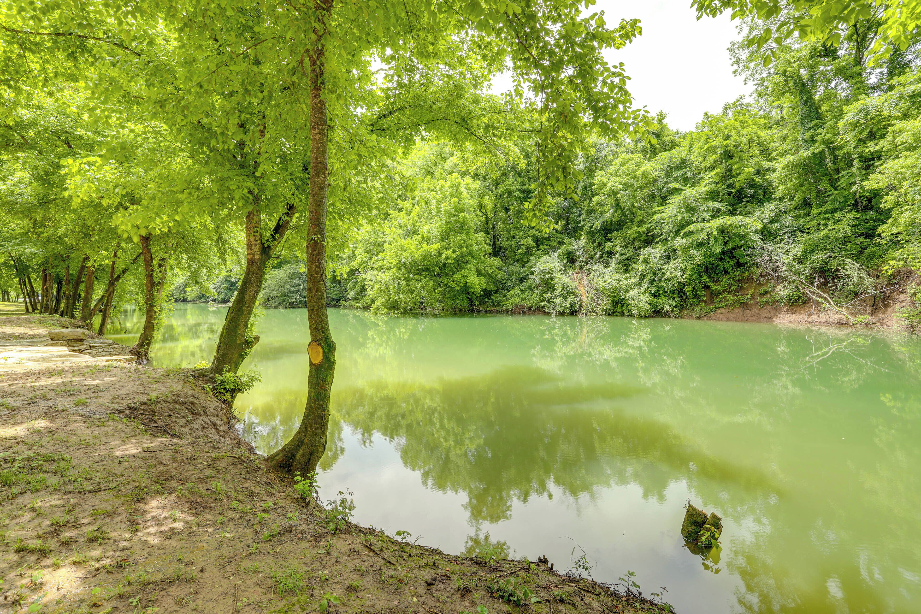 A serene riverside path with trees and a calm water body.