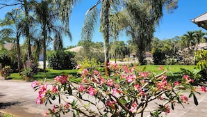 Un jardin avec des fleurs roses et des palmiers.