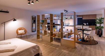 PONTIX S. PETER SUITE 500 METER FROM S. PETER