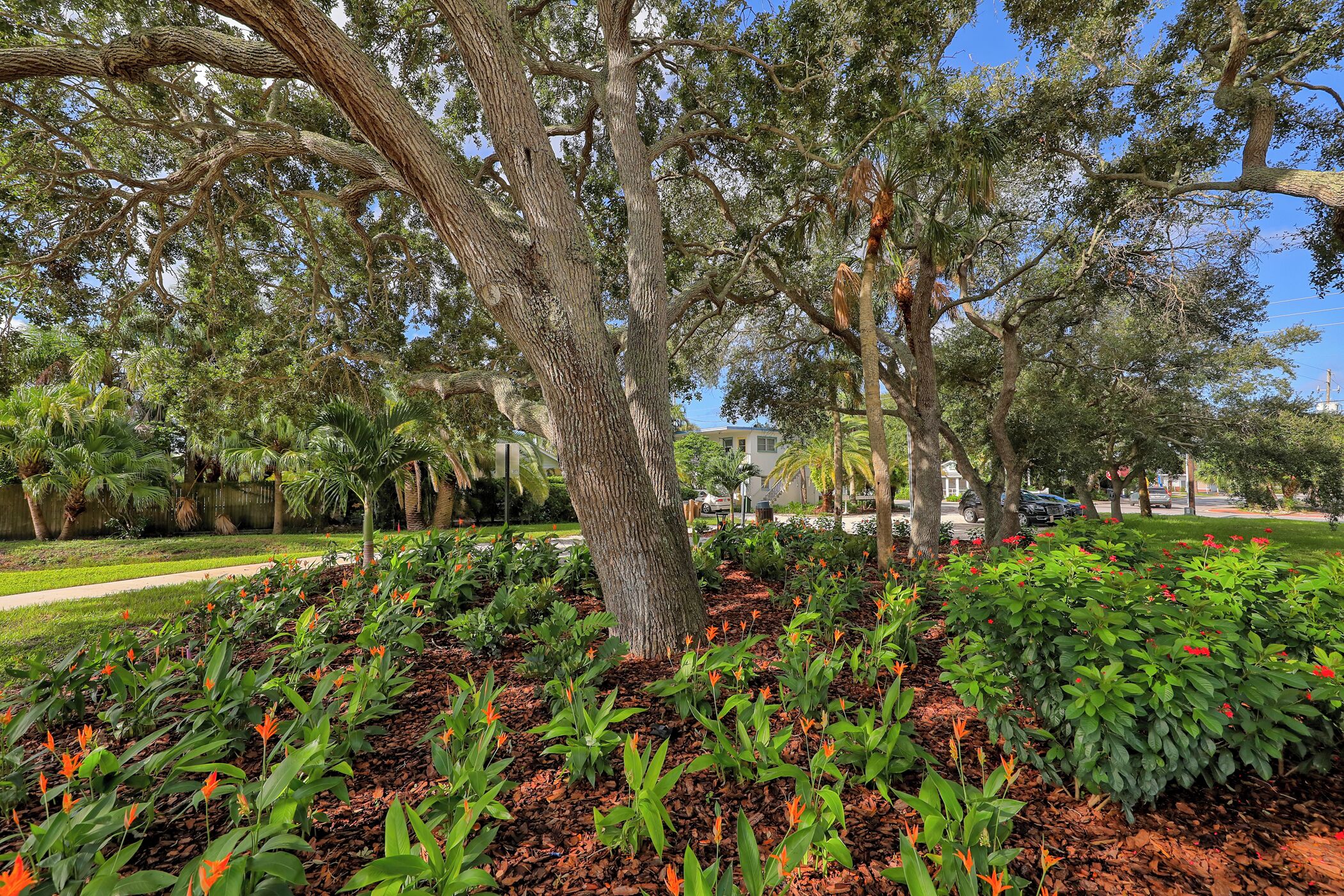 A landscaped garden with mature trees, a variety of plants, and a well-maintained lawn.