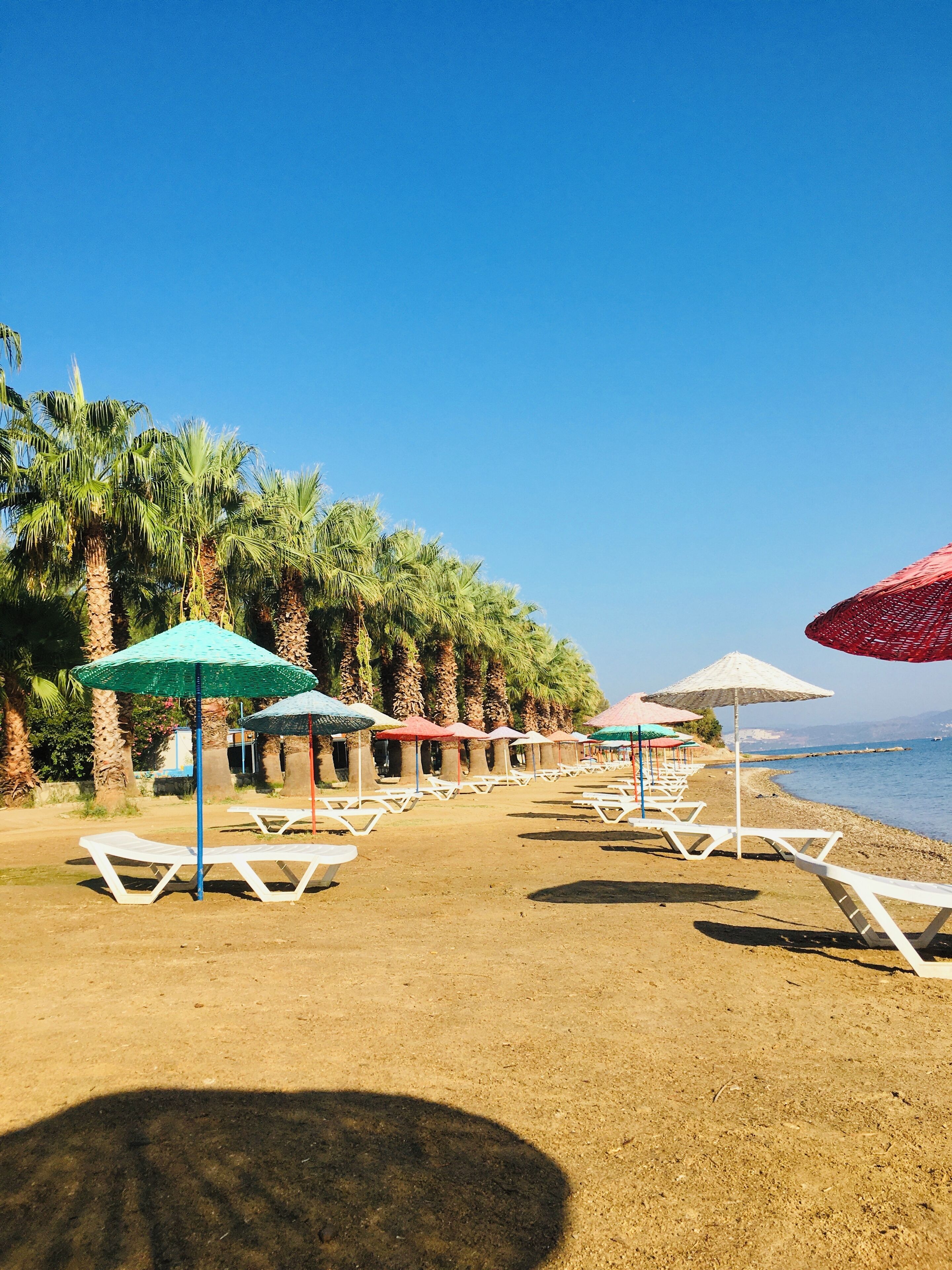 A beach with rows of white lounge chairs and colorful umbrellas, palm trees, and a clear blue sky. - Peaceful Studio by the Beach in Bodrum (Muğla)
