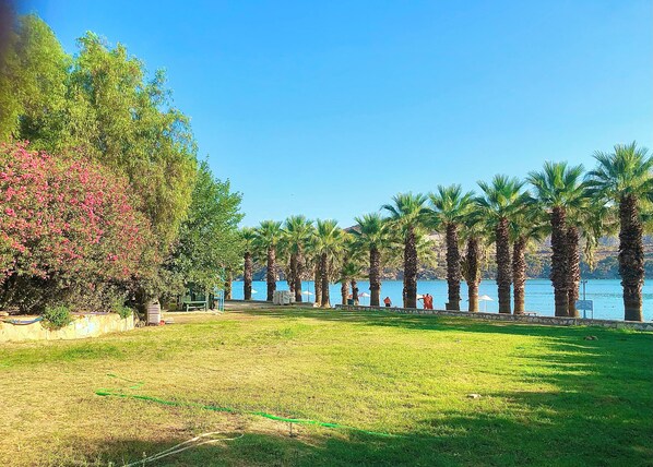 منوع