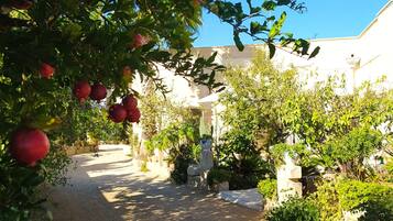 Parco della struttura