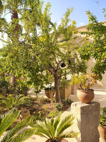 Historic home with a breathtaking garden in the heart of Salento