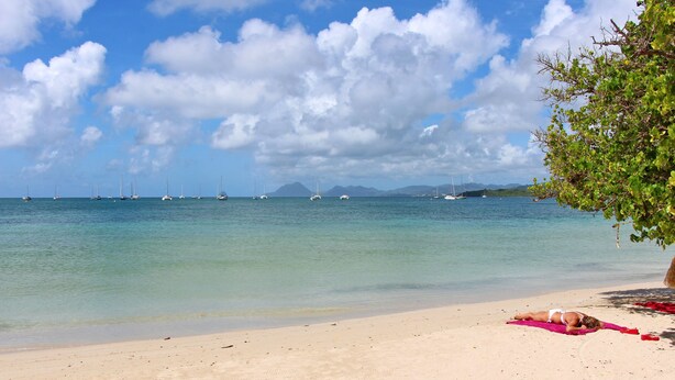 A beach with a person sunbathing, clear water, and sailboats in the distance. - Apartment Dahlia (500 m from the Pointe Marin BEACH, with SWIMMING POOL) (Sainte-Anne)
