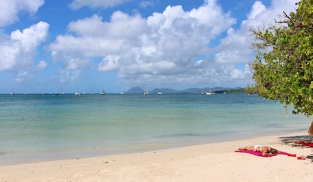 Beach. Apartment Dahlia (500 m from the Pointe Marin BEACH, with SWIMMING POOL)
