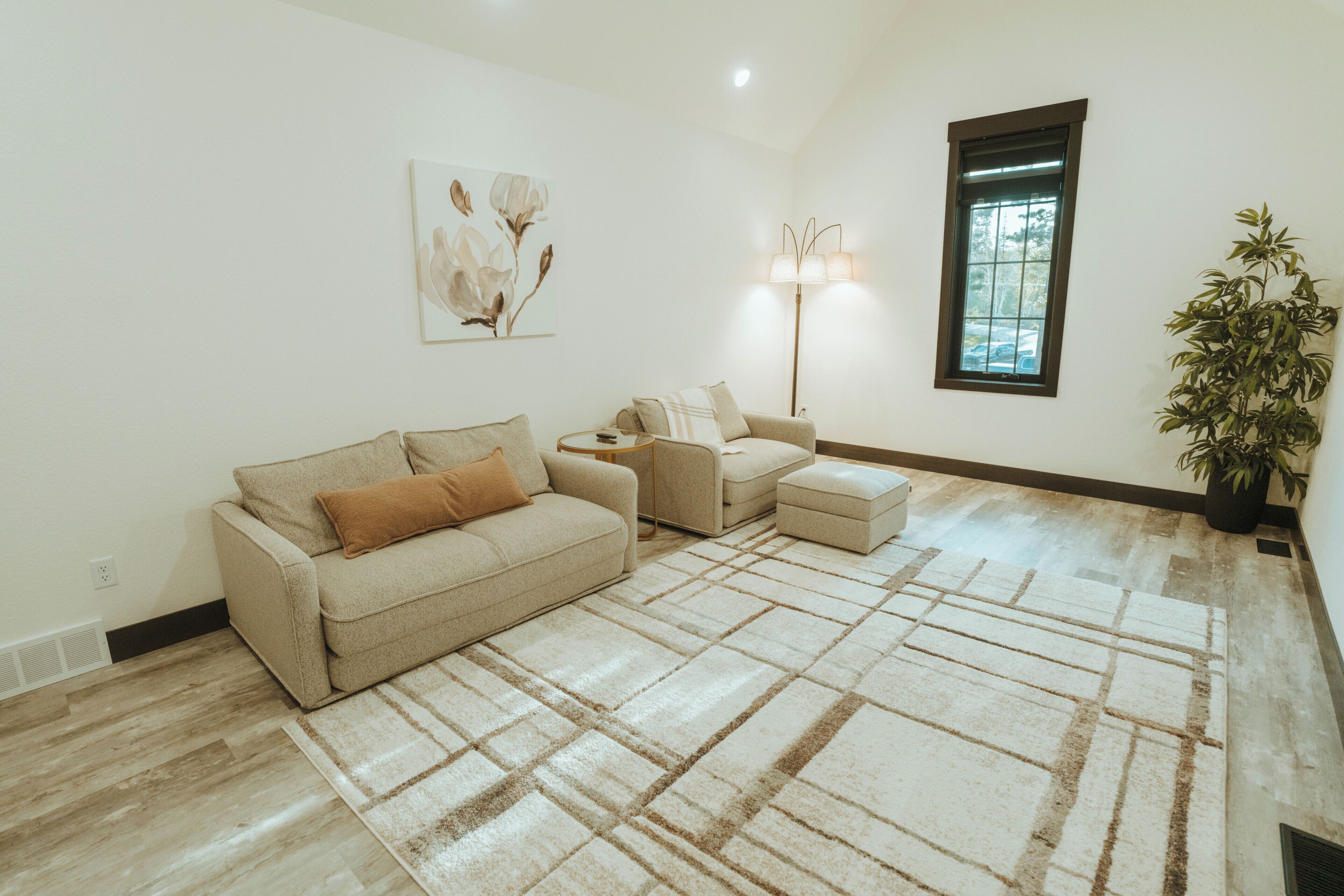 A living room with a sofa, ottoman, floor lamp, and a potted plant.