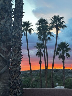 Vista del atardecer con palmeras y un muro de piedra.