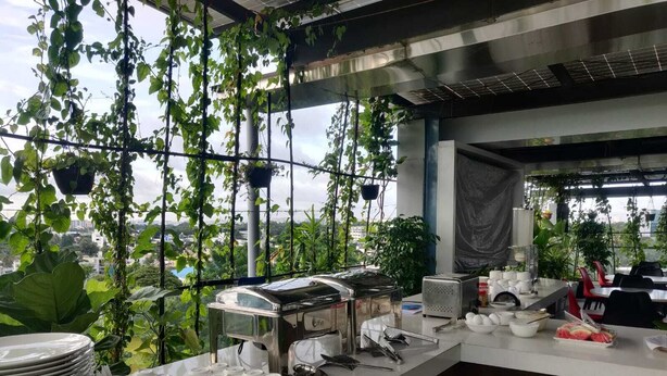 A restaurant kitchen with hanging plants, a buffet setup, and a city view. - SRS Suite (Bengaluru)