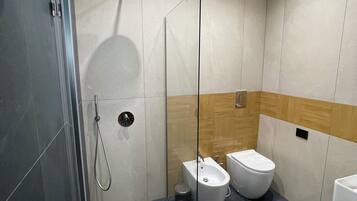 Shower, hair dryer, bidet, towels