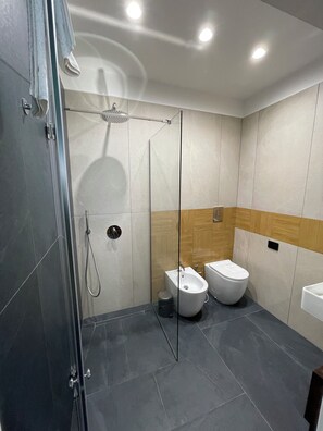 Shower, hair dryer, bidet, towels
