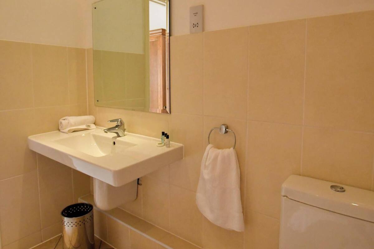 Tweepersoonskamer, niet-roken, privébadkamer | Badkamer | Een douche, handdoeken, zeep, shampoo