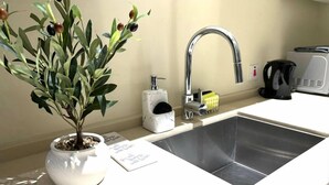 A modern kitchen with a stainless steel sink, a potted plant, a coffee maker, and a soap dispenser. - One Bedroom City Apartment with Pool (Kingston)