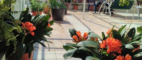 Terras
