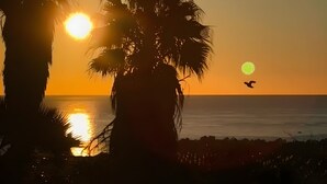 A sunset over the ocean with palm trees silhouetted against the sky. - Bed and Breakfast 'Sole' with Sea View, Shared Pool and Wi-Fi (Calatabiano)