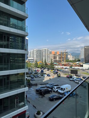 Vista desde la propiedad