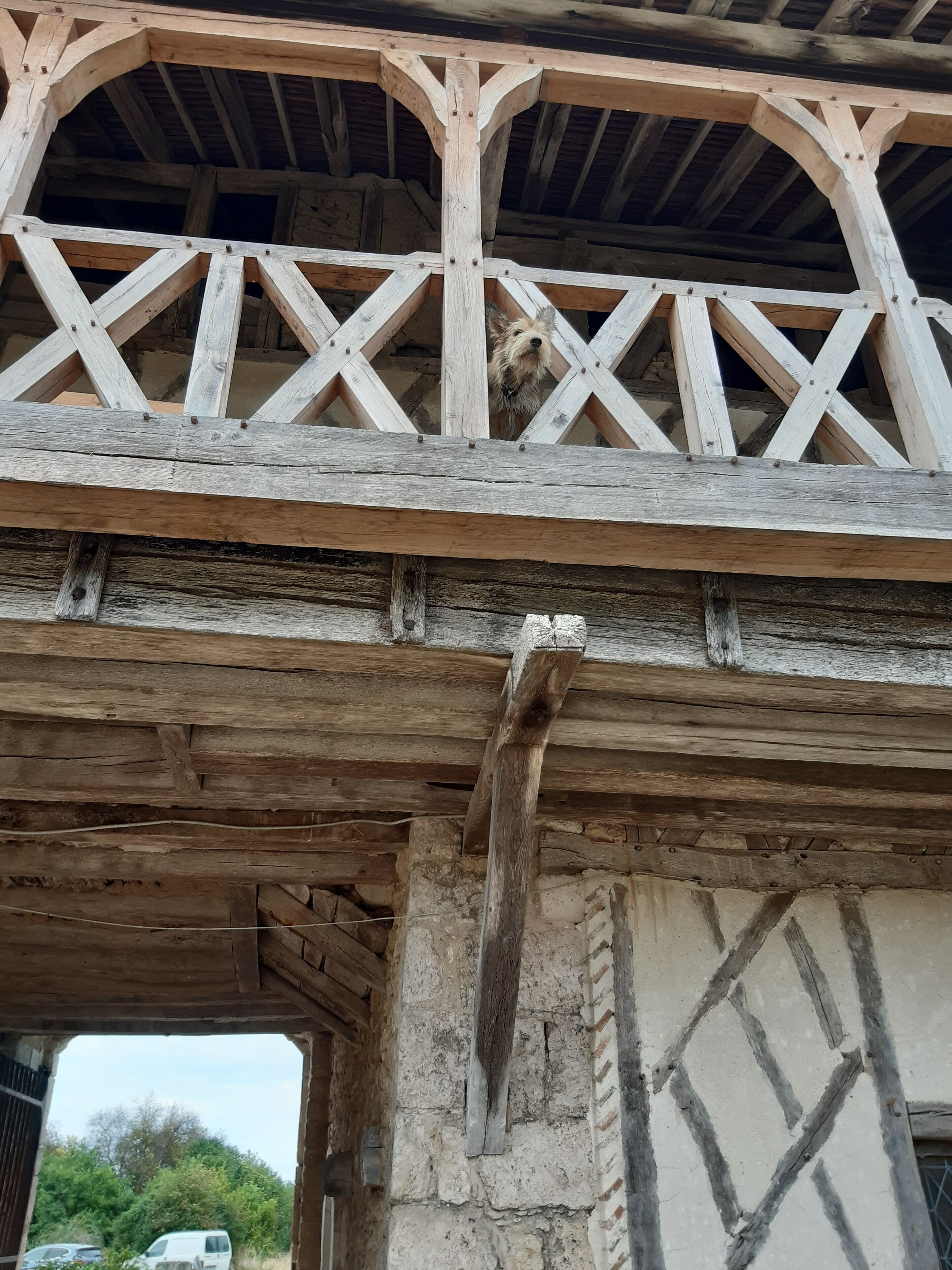 Détail de l’extérieur