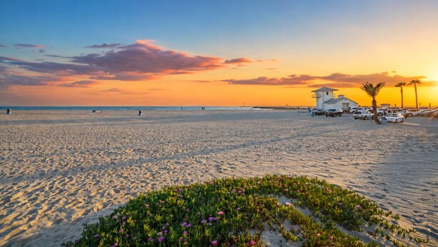 A beach with a lifeguard tower, palm trees, and a parking area.