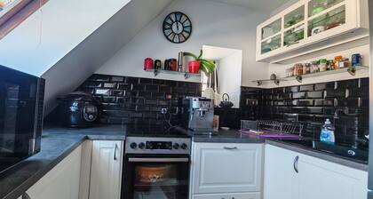 Super grand appartement ancien poutre apparente double séjour