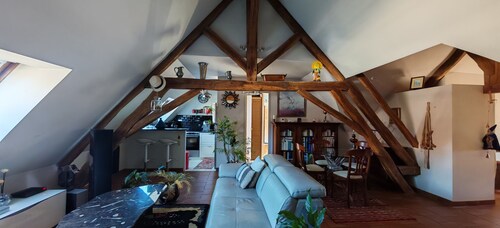Super large old beam apartment with double living room