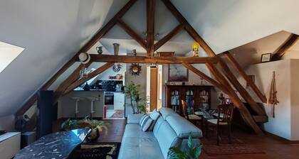 Super large old beam apartment with double living room