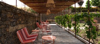 Feel Discovery Casa da Lameira Douro Valley II