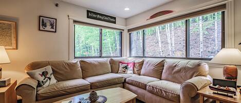 TV, fireplace, books