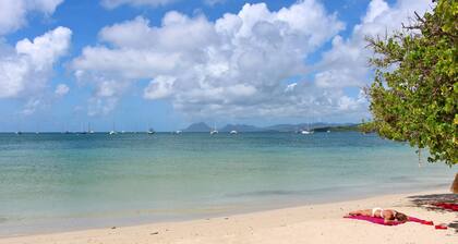 Apartment Amaryllis (500 m from the Pointe Marin BEACH)