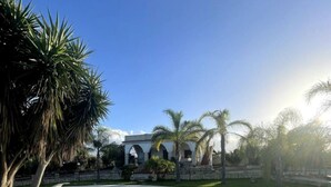 A swimming pool with a curved edge, surrounded by a paved patio. There are palm trees and a stone building with arches in the background. - Villa of Roses (Sicilia)