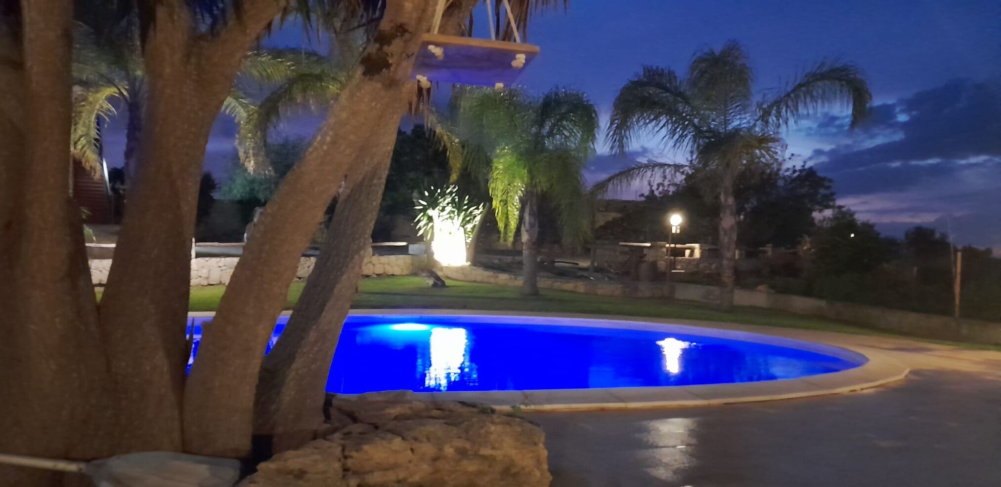 A swimming pool surrounded by palm trees and a stone wall.