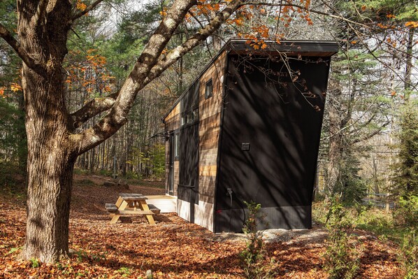 تناول الطعام بالخارج