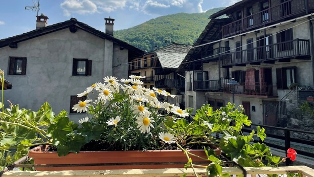 A traditional building with a balcony, a flower pot with daisies, and a mountainous backdrop. - La Chintana (Ceres)