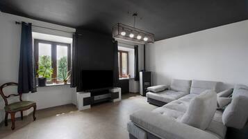 Fernseher