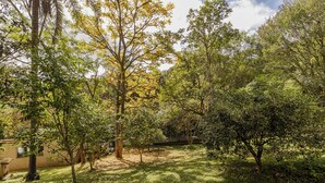 A garden with various trees and a building in the background.