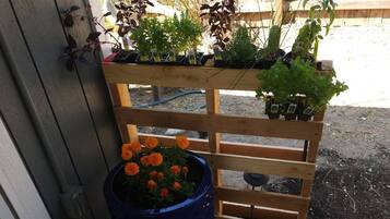 Parco della struttura