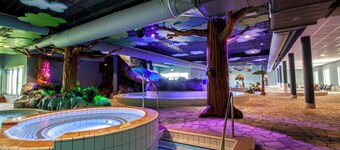 Spacious eco-cottage for six, with modern kitchen and large terrace, set in peaceful woodlands at Breebronne in North Limburg.