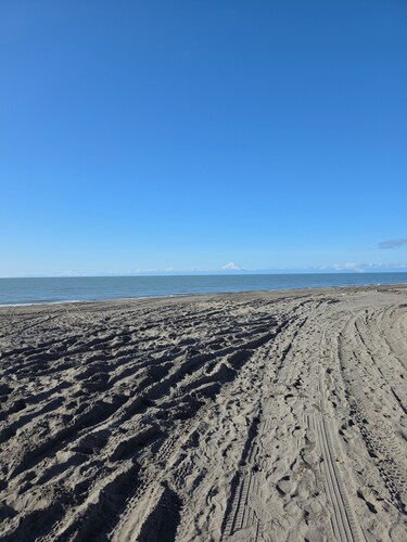 Moose Cabin Inn is a cozy 1 bedroom/1 bathroom cabin style apartment.
Kenai, AK