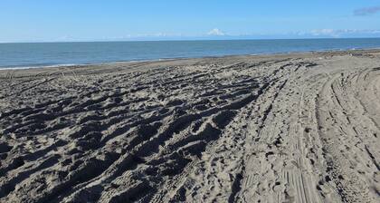 Moose Cabin Inn is a cozy 1 bedroom/1 bathroom cabin style apartment.
Kenai, AK