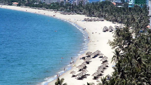 A beach with rows of thatched umbrellas and palm trees. - LOUIS OTIS APARTMENT 03 (Da Nang)