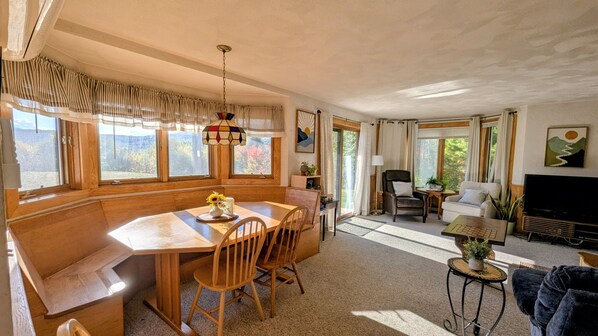 TV, fireplace, books