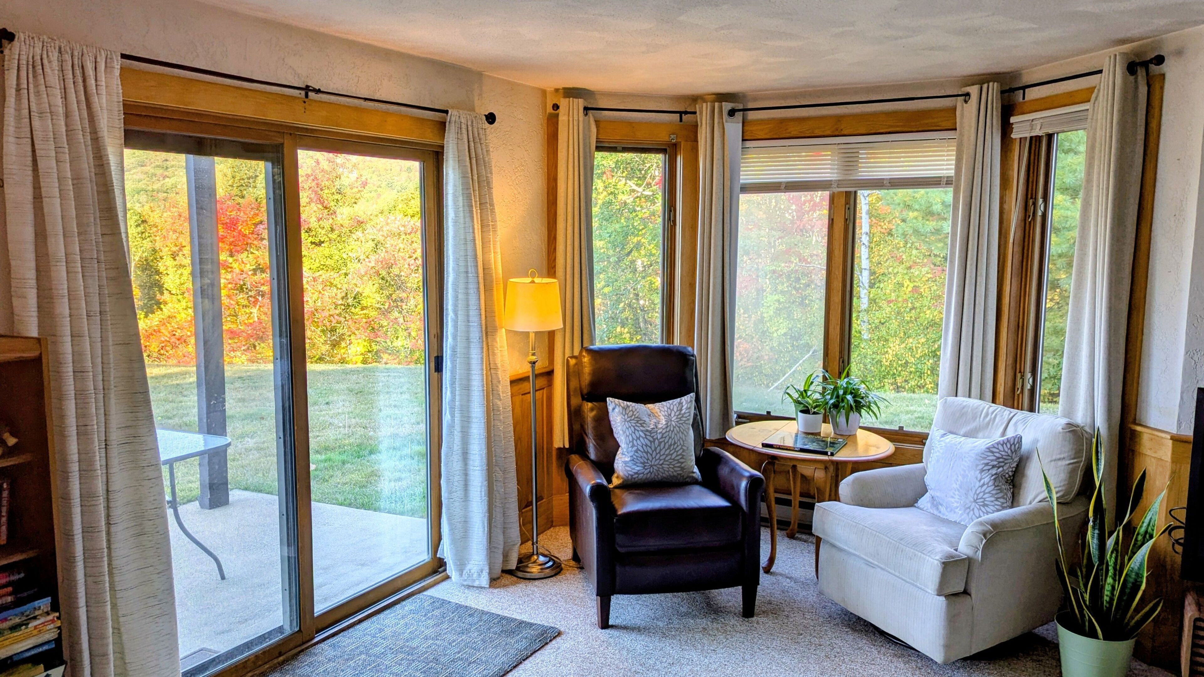 TV, fireplace, books