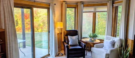 Télévision, cheminée, livres